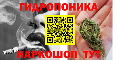 PSILOCYBIN Севастополь