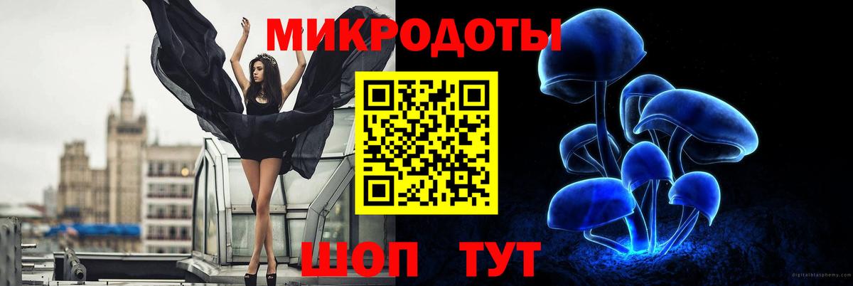 Баксан  продажа наркотиков  Вход с VPN  Псилоцибиновые грибы GOLDEN TEACHER  Галлюциногенные грибы Psilocybe 
